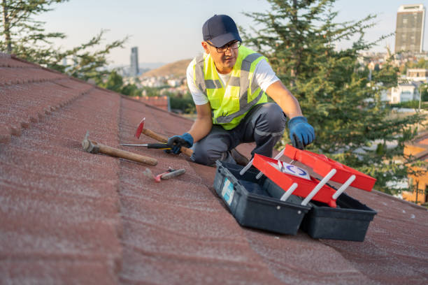 Professional Siding in Holiday Shores, IL